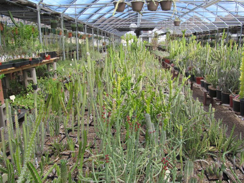 Arid Lands Greenhouses
